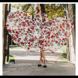 Ivy City Rosemary maxi dress